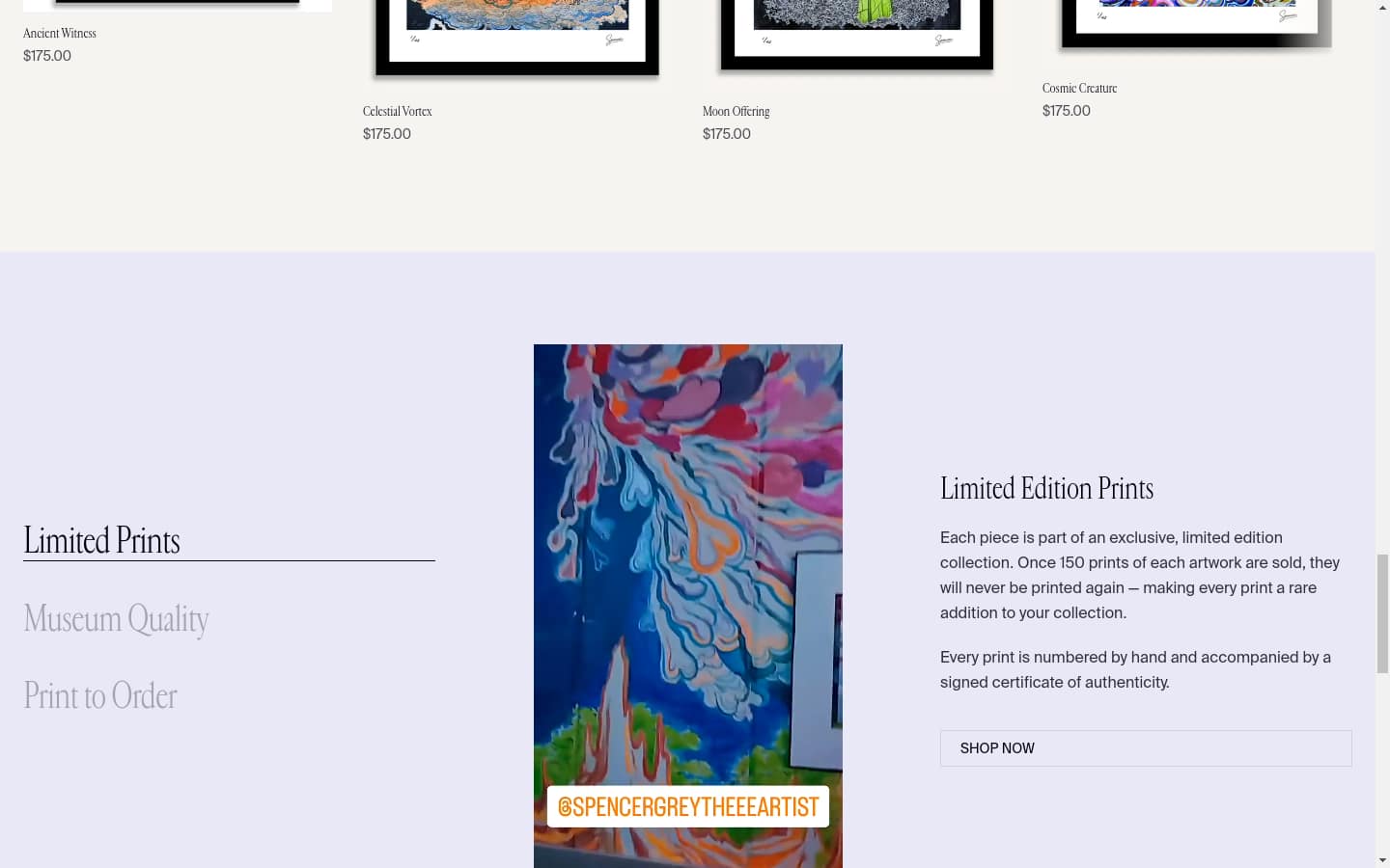 Spencer Grey Art site — placeholder screenshot